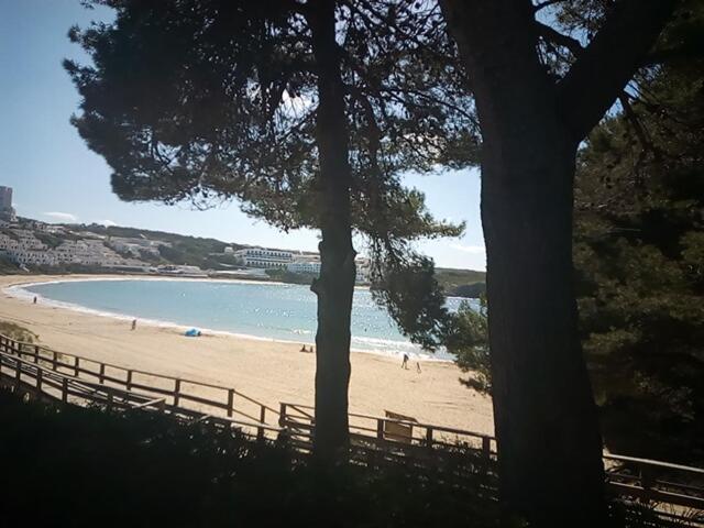 Castellsol Arenal Home Beach プンタ・グロッサ 部屋 写真